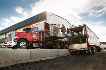 Worker unloading carts from transport truck at a farm